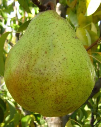 Виставочна