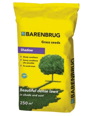 BARENBRUG «Shadow», суміш насіння трав для газонів у тінистих умовах.