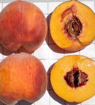 Флемін Ф’юрі ПФ 17 (середнього терміну)